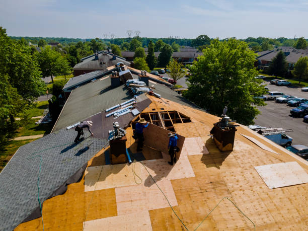 Best Commercial Roofing Services  in Ellaville, GA