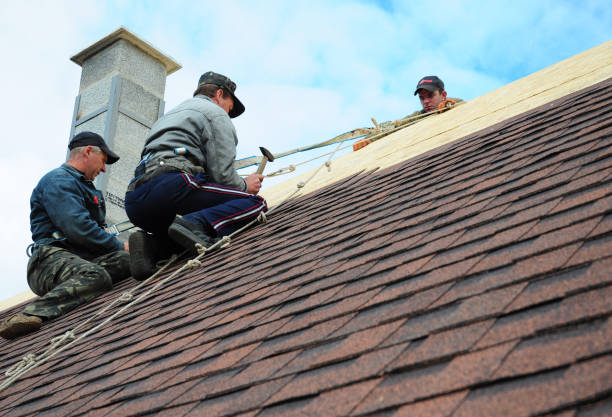 Best Gutter Installation and Roofing  in Ellaville, GA